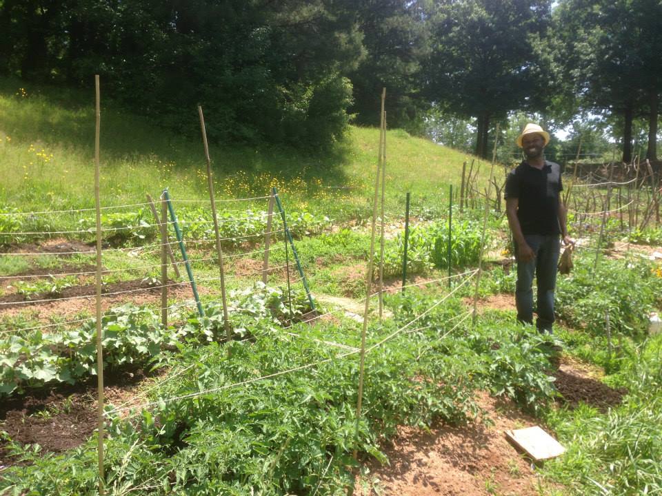 Farmer Jeff's Oak Cutting Boards — Cold Spring Farm